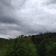 Image for article titled Imagine Walking Into This Wall of Spiders and Never Sleep Again